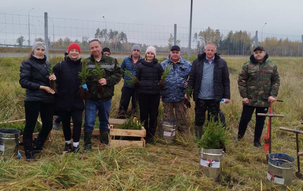 IMG 2490334c85a1b78da1a674ffbb14938