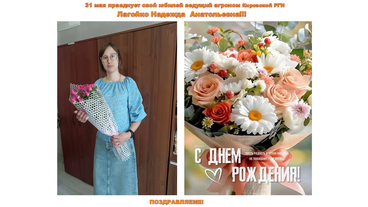 Логойко 3